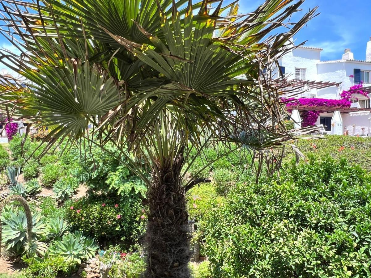 Newly Renovated 2 Bedroom Beachfront House Sitio de Calahonda Dış mekan fotoğraf