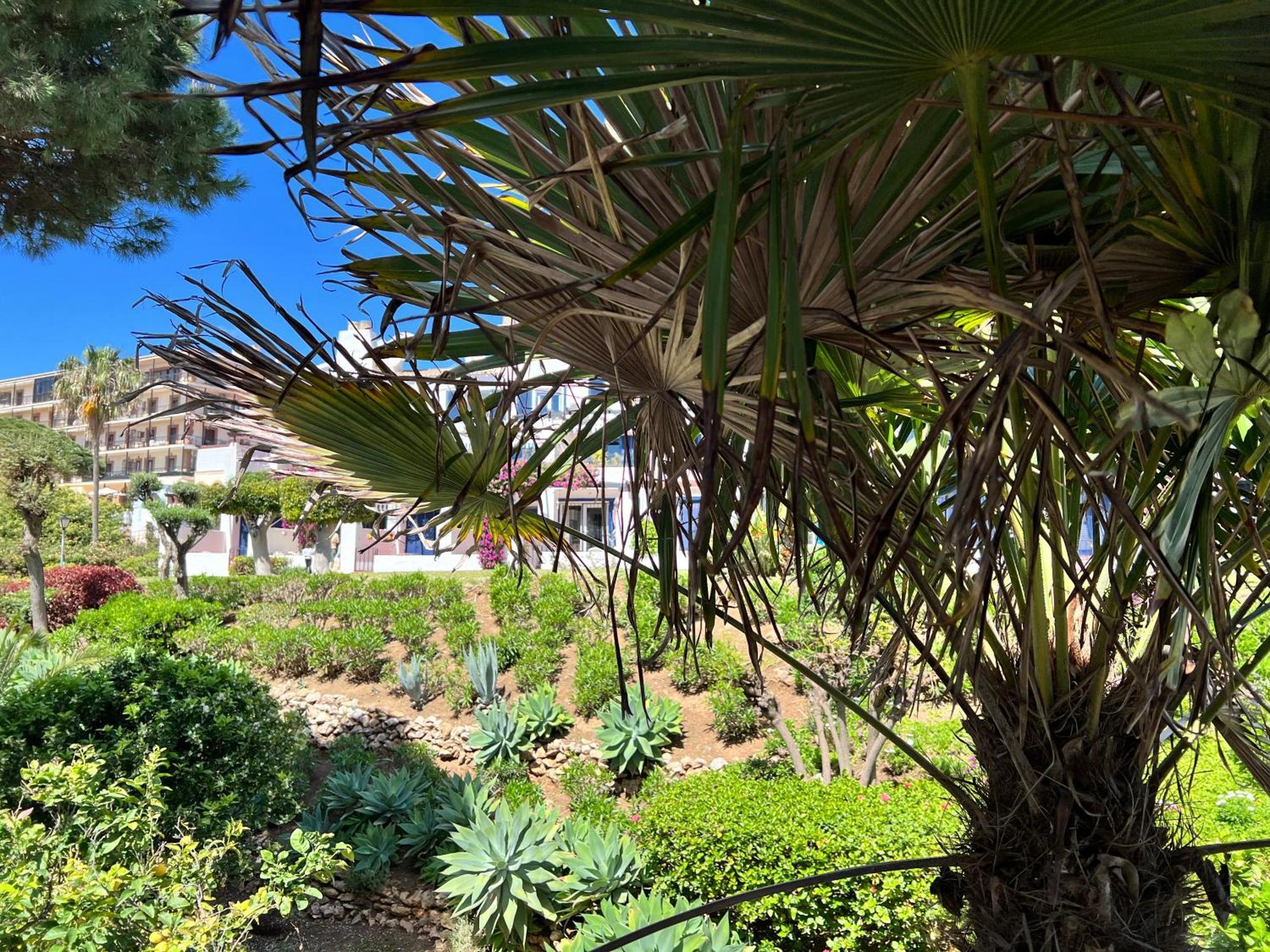 Newly Renovated 2 Bedroom Beachfront House Sitio de Calahonda Dış mekan fotoğraf